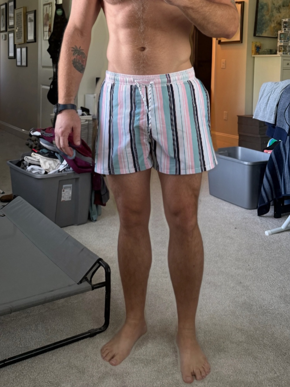 Men's Striped Elastic Waist Swim Shorts - Pastel Multi XL